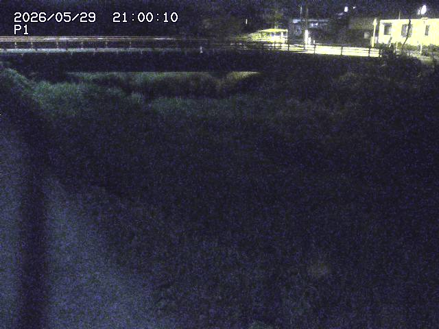 細見川１2026/05/30 3:30:00