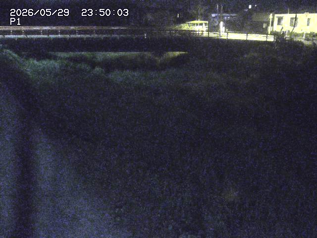 細見川１2026/05/30 3:30:00