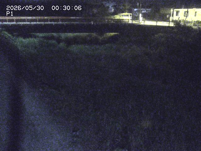 細見川１2026/05/30 3:30:00