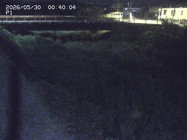 細見川１2026/05/30 3:30:00