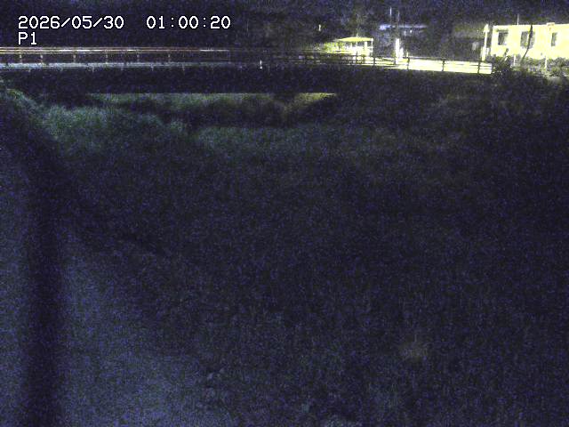 細見川１2026/05/30 3:30:00