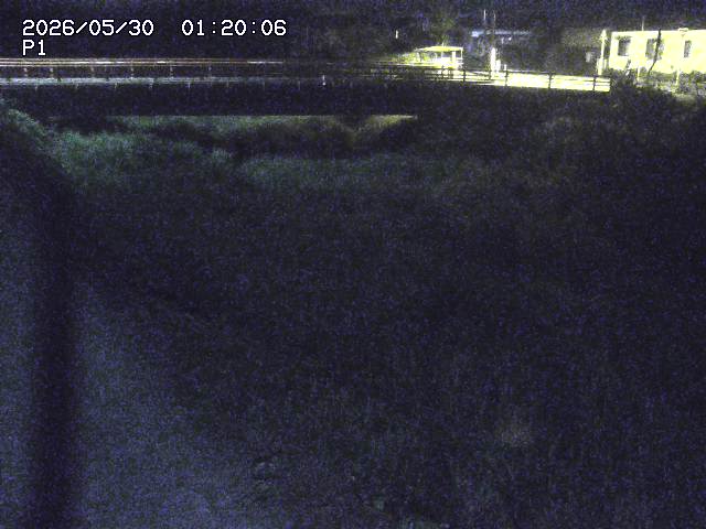 細見川１2026/05/30 3:30:00