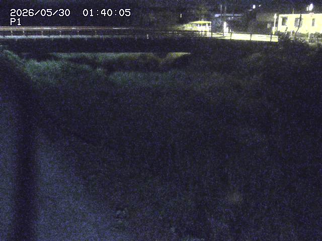 細見川１2026/05/30 3:30:00
