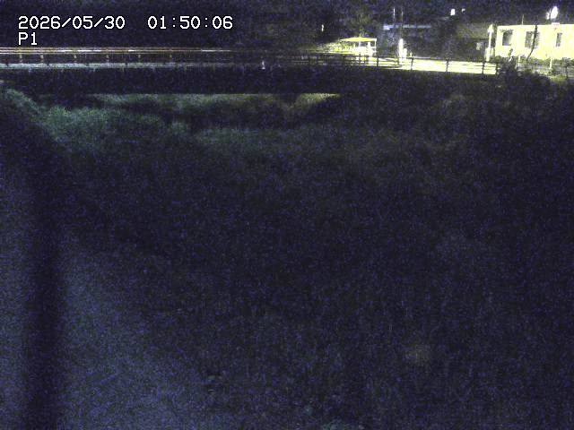 細見川１2026/05/30 3:30:00