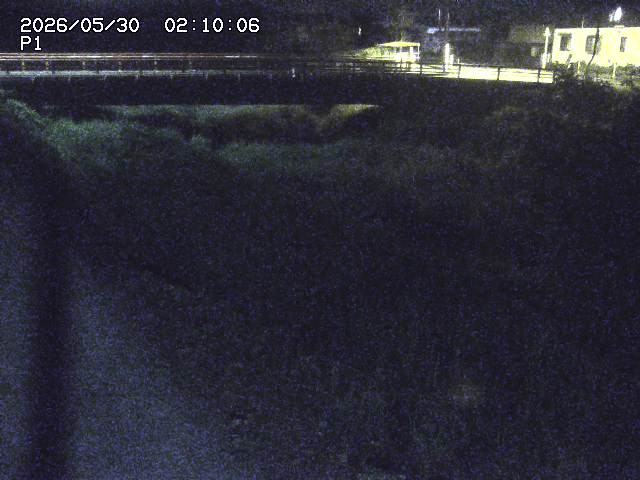 細見川１2026/05/30 3:30:00