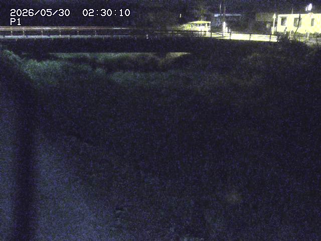 細見川１2026/05/30 3:30:00