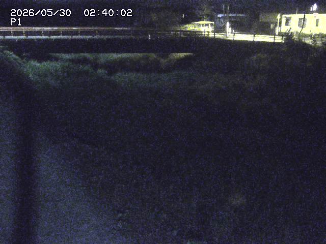 細見川１2026/05/30 3:30:00