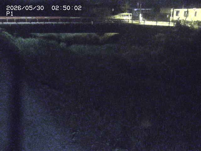 細見川１2026/05/30 3:30:00