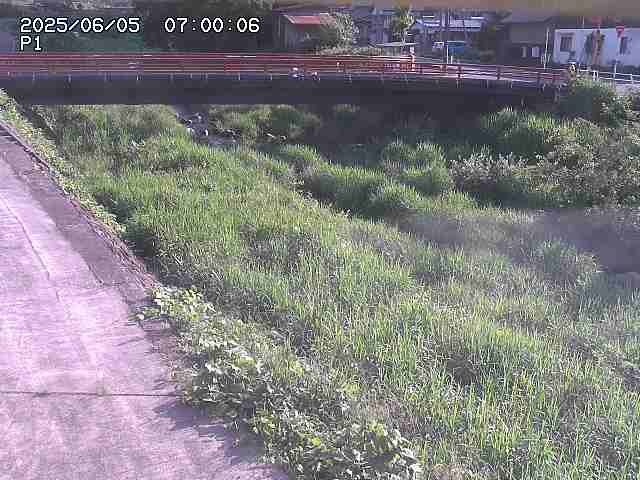細見川１2025/06/06 1:10:00