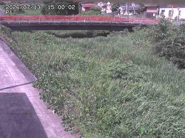 細見川１2026/07/14 15:20:00