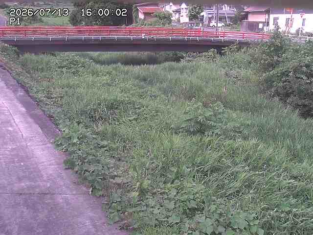細見川１2026/07/14 15:20:00