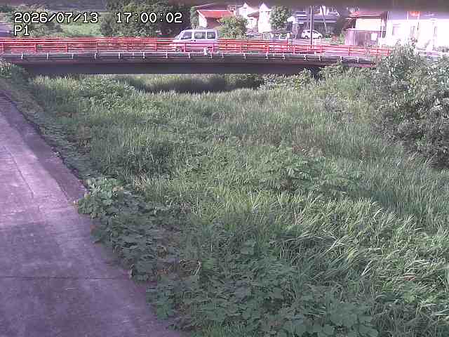 細見川１2026/07/14 15:20:00