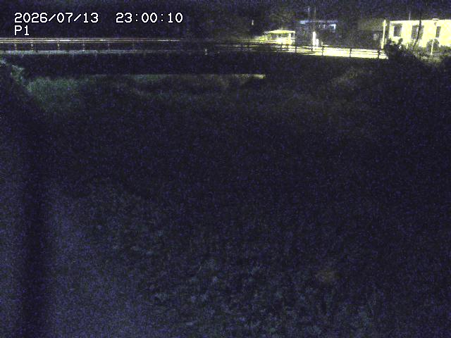 細見川１2026/07/14 15:20:00