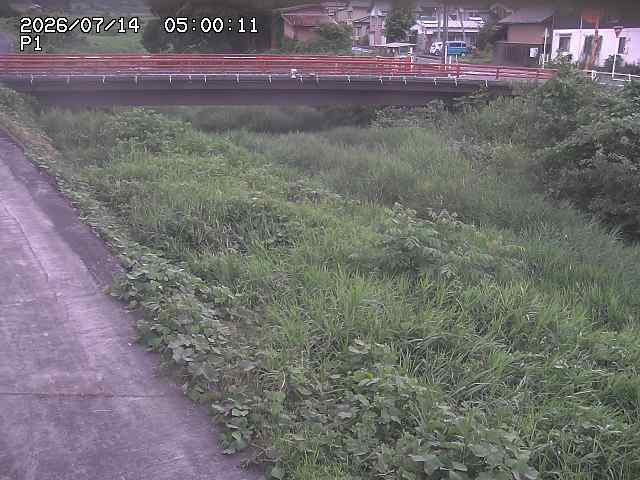 細見川１2026/07/14 15:20:00
