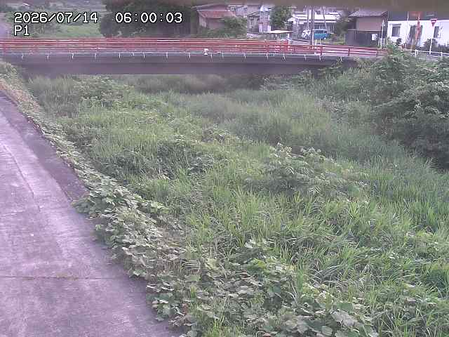 細見川１2026/07/14 15:20:00