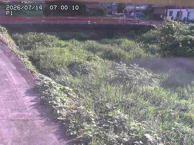 細見川１2026/07/14 15:20:00