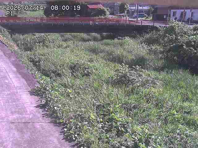 細見川１2026/07/14 15:20:00