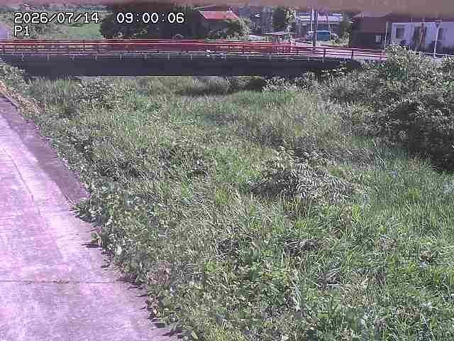 細見川１2026/07/14 15:20:00