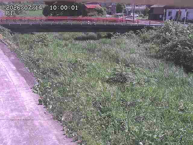 細見川１2026/07/14 15:20:00