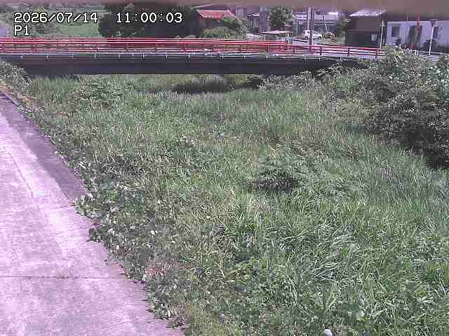 細見川１2026/07/14 15:20:00
