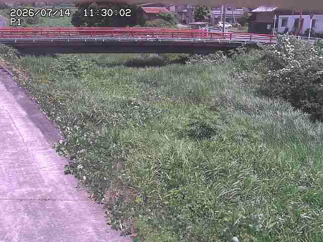 細見川１2026/07/14 15:20:00