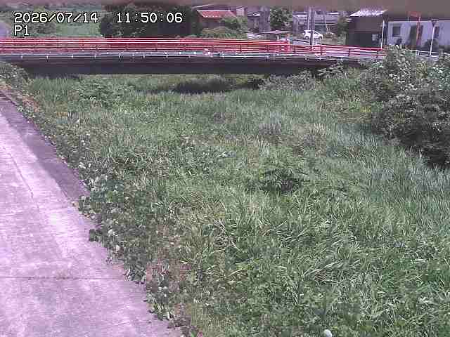 細見川１2026/07/14 15:20:00