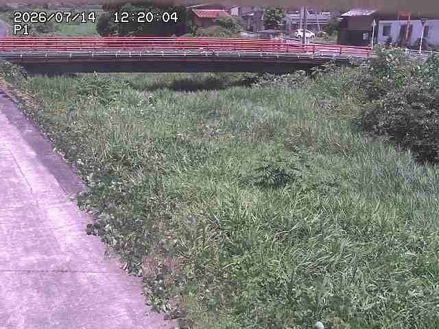 細見川１2026/07/14 15:20:00
