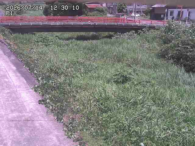 細見川１2026/07/14 15:20:00