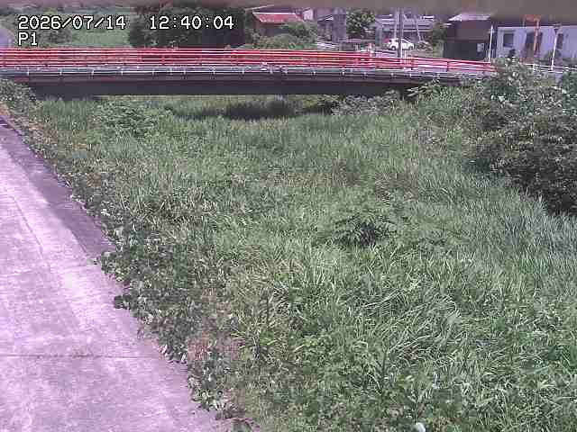 細見川１2026/07/14 15:20:00