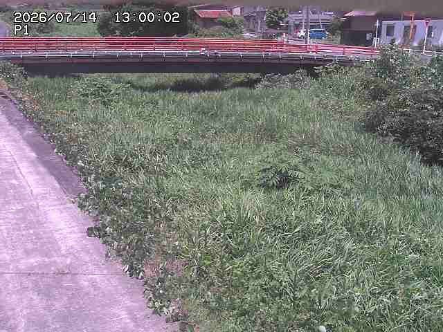 細見川１2026/07/14 15:20:00