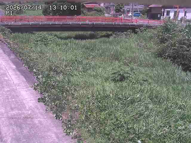 細見川１2026/07/14 15:20:00