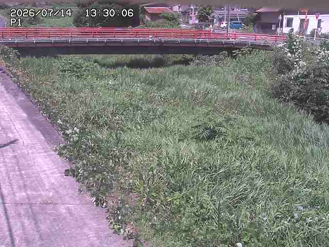 細見川１2026/07/14 15:20:00