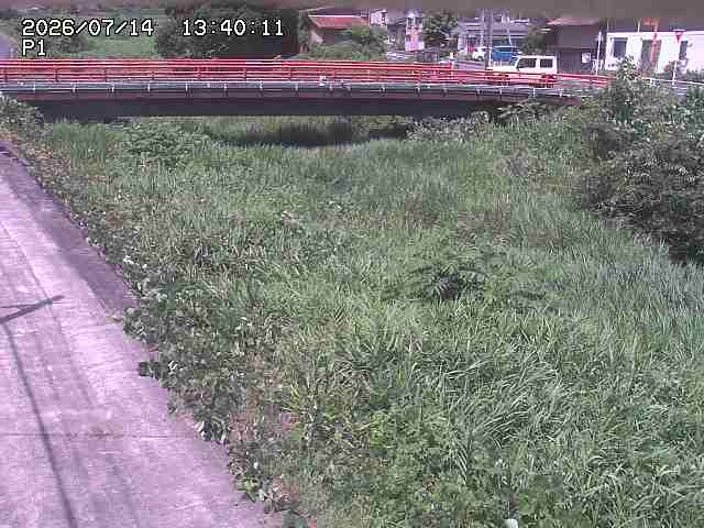 細見川１2026/07/14 15:20:00