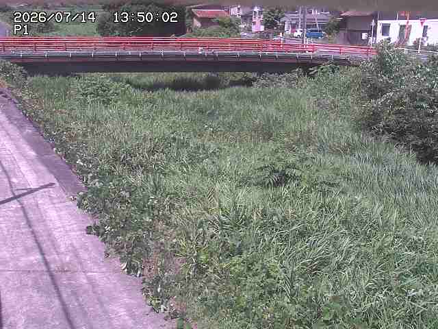 細見川１2026/07/14 15:20:00