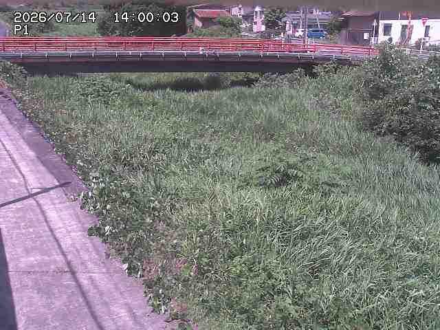 細見川１2026/07/14 15:20:00