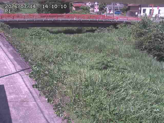 細見川１2026/07/14 15:20:00
