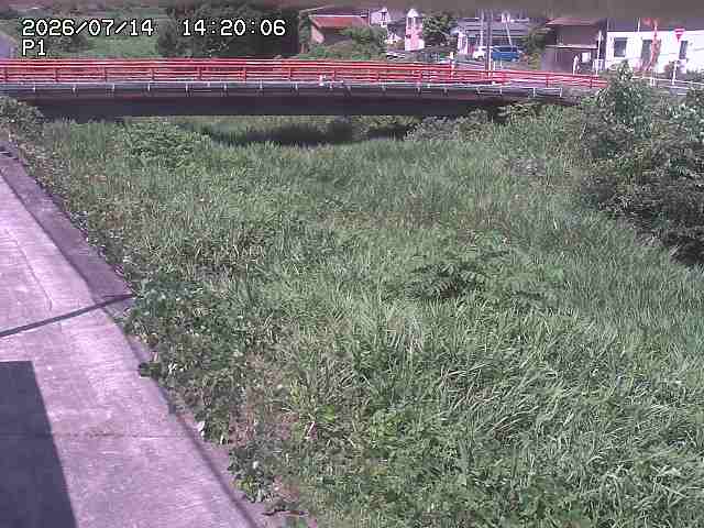 細見川１2026/07/14 15:20:00