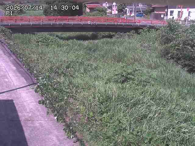 細見川１2026/07/14 15:20:00