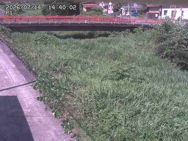 細見川１2026/07/14 15:20:00