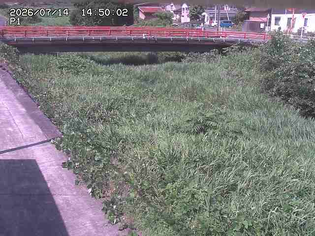 細見川１2026/07/14 15:20:00