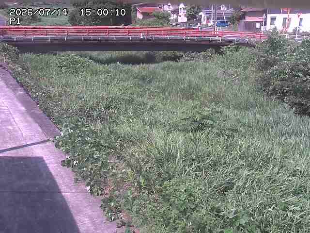 細見川１2026/07/14 15:20:00