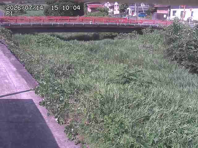 細見川１2026/07/14 15:20:00