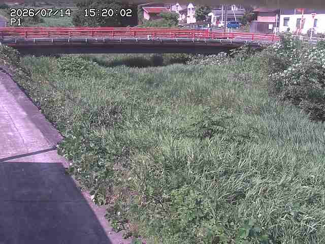 細見川１2026/07/14 15:20:00