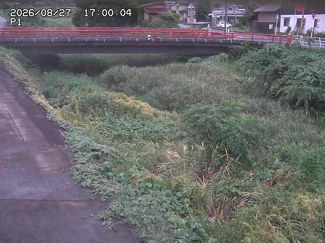 細見川１2026/08/28 17:00:00