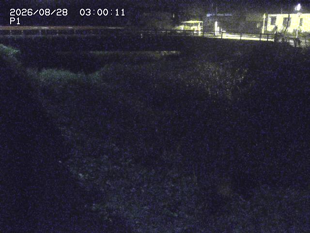 細見川１2026/08/28 17:00:00