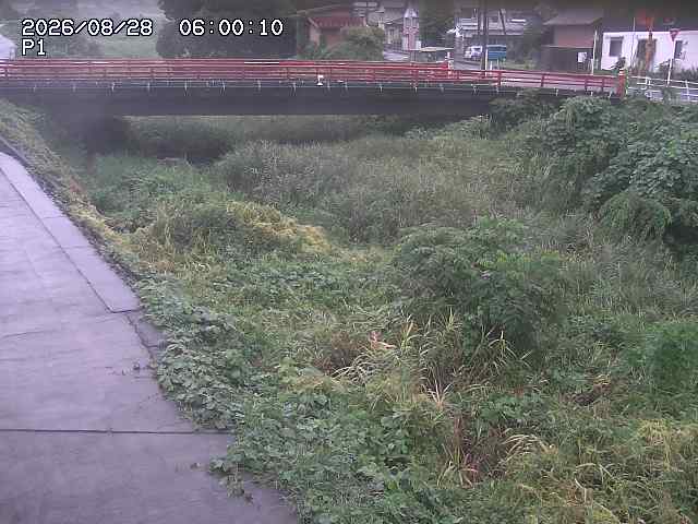細見川１2026/08/28 17:00:00