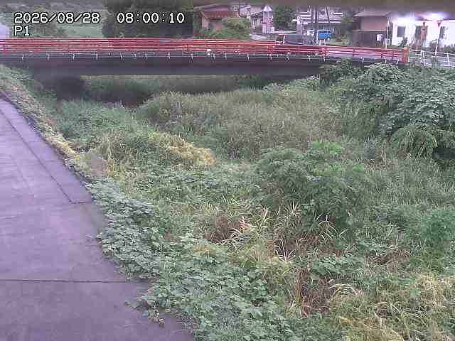 細見川１2026/08/28 17:00:00