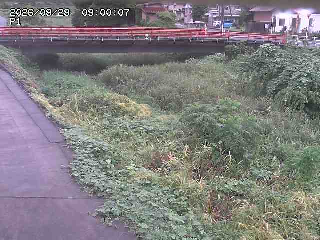 細見川１2026/08/28 17:00:00