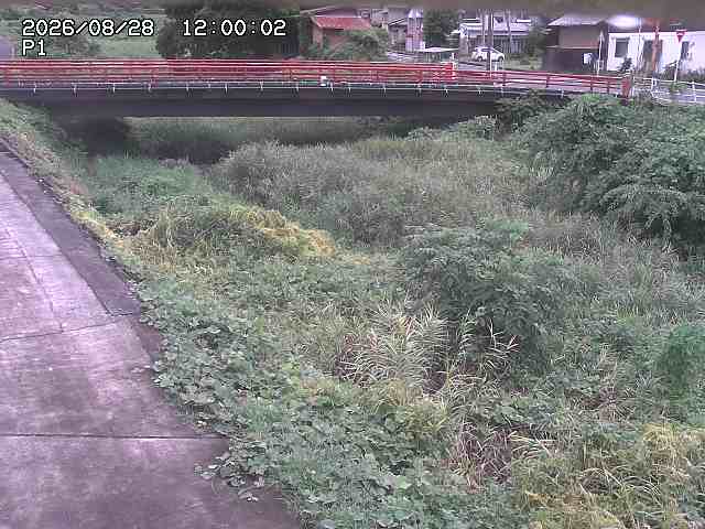細見川１2026/08/28 17:00:00