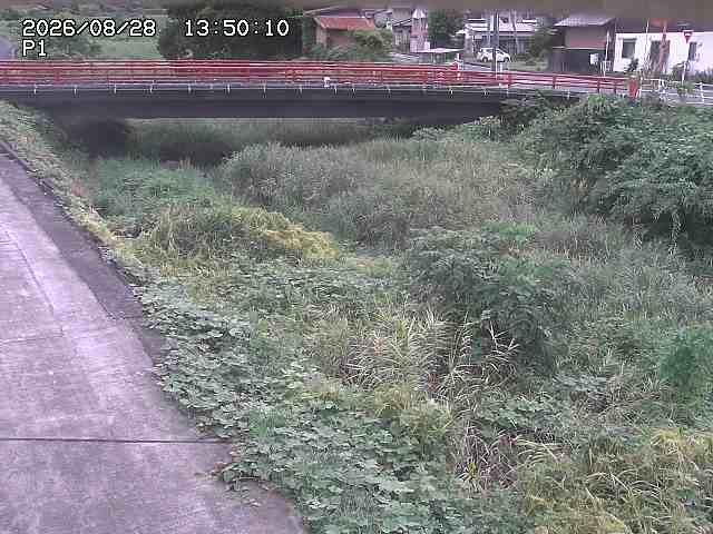 細見川１2026/08/28 17:00:00